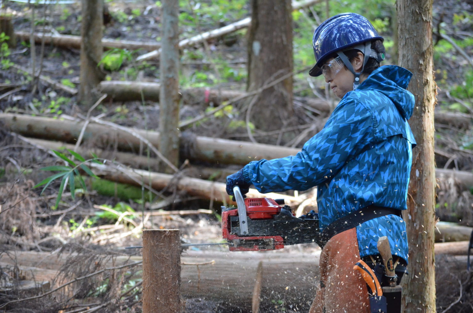 海外-STIHL 上衣 林業作業服• 伐木•作業の安全対策の規制改正